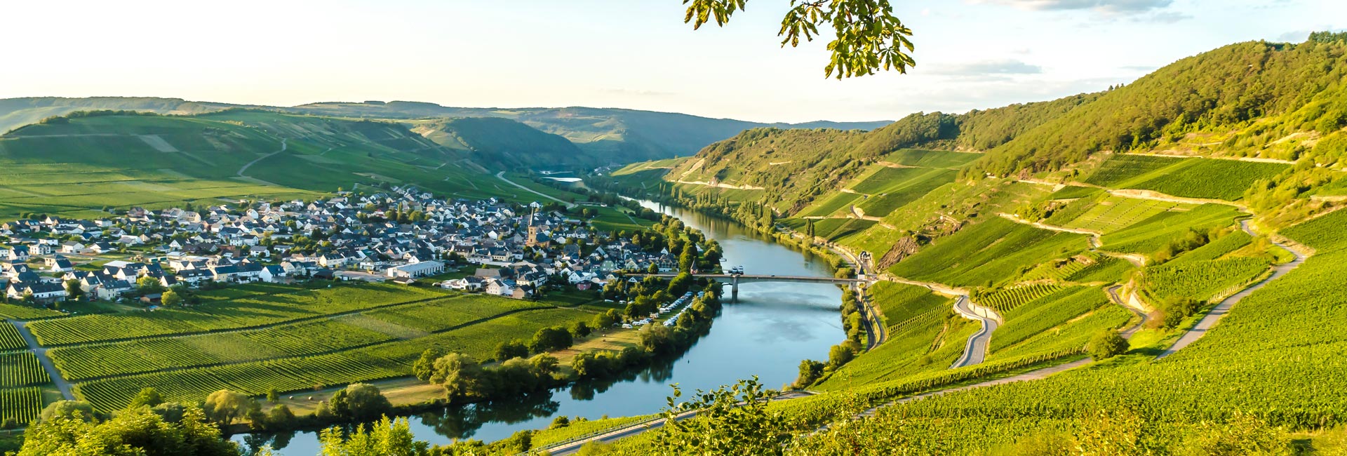 Moselzauber